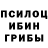 Галлюциногенные грибы прущие грибы Never Love