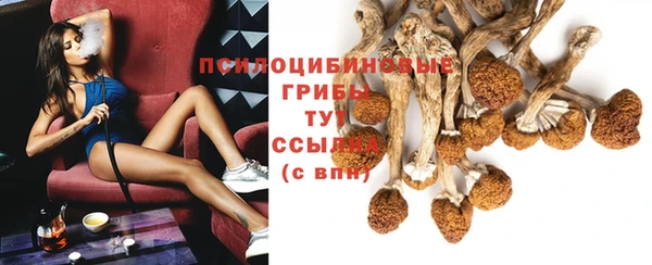ECSTASY Белокуриха