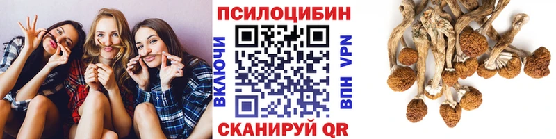 Галлюциногенные грибы Psilocybine cubensis  Ветлуга 