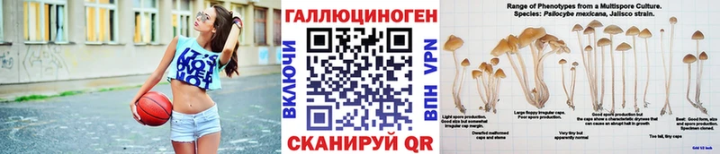 Псилоцибиновые грибы мухоморы Ветлуга