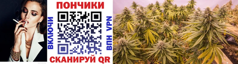 Каннабис Bruce Banner  MEGA   Ветлуга 